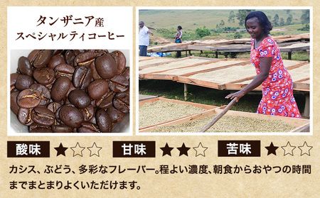 珈琲 豆 アソートセット 600g 瀬戸内ブレンド & インドネシア & タンザニア 珈琲