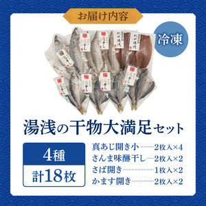 AD6102_かね七商店　湯浅の干物大満足セット　小あじ・かます・さば・さんま味醂干し計１８枚