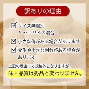 【訳ありじゃがいも】 春デジマ 5kg じゃがいも 安田町 大野台地 YK-0012