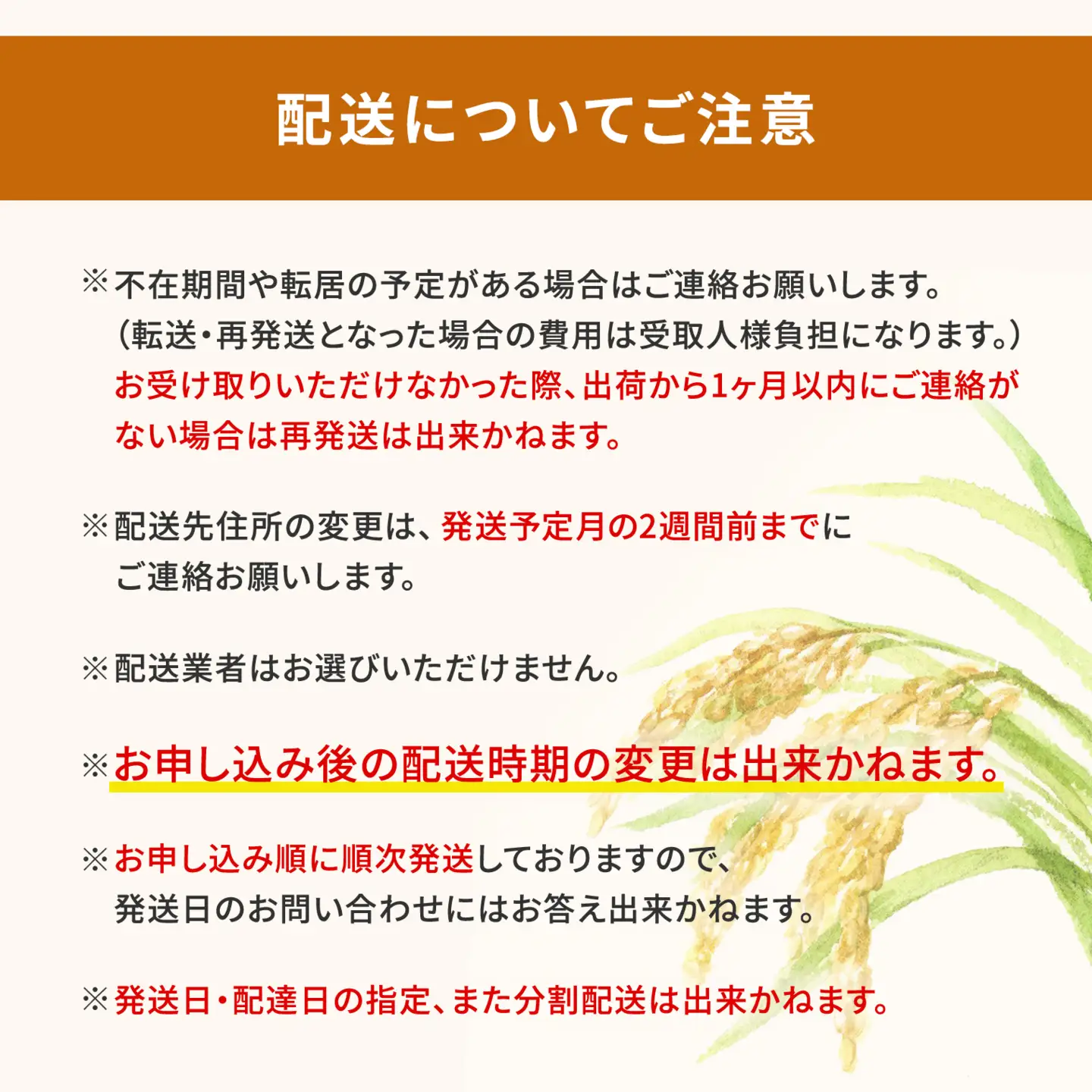 白米 こしひかり 20kg 最短発送 令和7年産 茨城県産 米 K2704