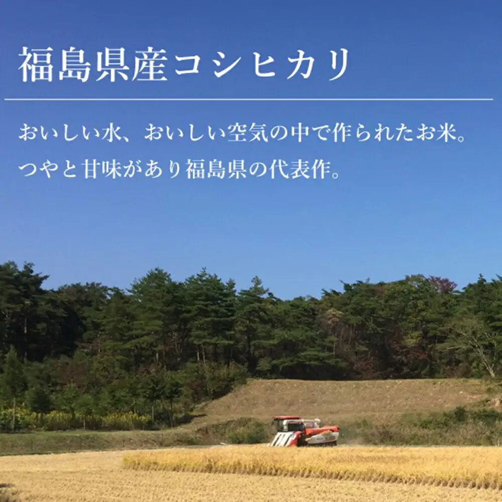 コシヒカリ 白米 5kg 令和8年産 ｜ コシヒカリ サムランド