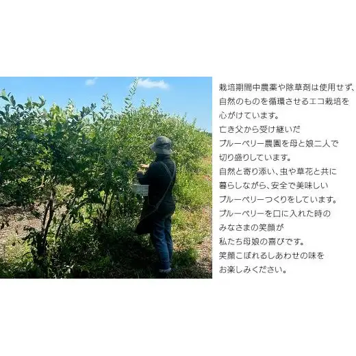 【訳あり】大小不揃い 冷凍ブルーベリー 1.2kg 【2026年8月上旬頃より発送開始】