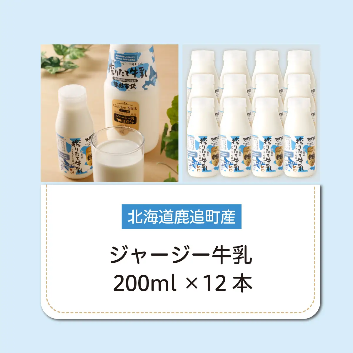 ジャージー牛乳 200ml ×12 SKM054