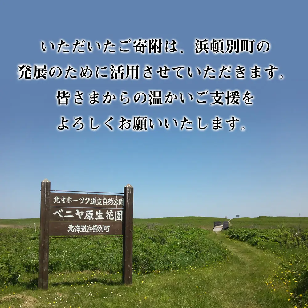 北海道 浜頓別町 ☆応援寄附金☆【返礼品なし】50,000円分 ふるさと納税 寄附のみ
