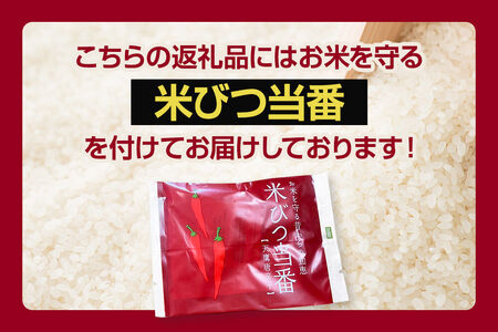 《令和8年産新米受付》 あきたこまち 精米 10kg（5kg×2袋） 吉元耕業 秋田県 男鹿市