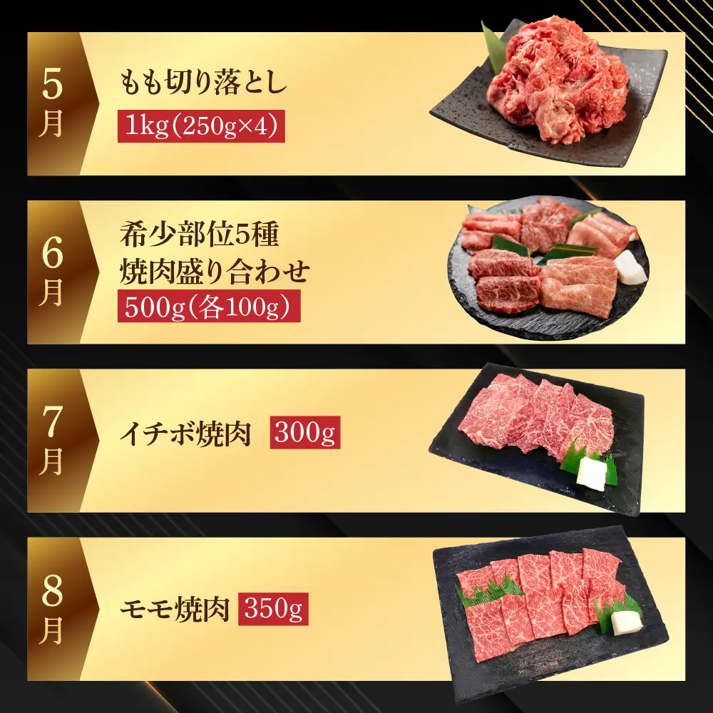 【定期便 12回】飛騨牛まるごと1年味わい尽くし定期便（2～3人前）【70-C】