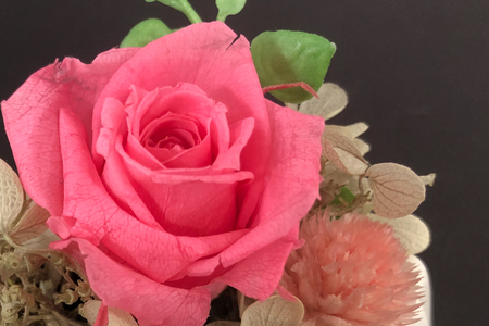 花 プリザーブドフラワー アレンジ スモール ばら1輪 紫陽花 など [littleprincess 石川県 宝達志水町 38601339]