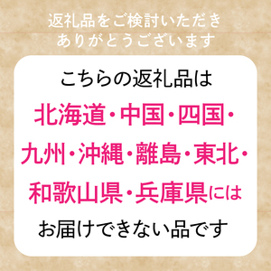 ＜2026月6月上旬~2026年7月中旬＞【みやび農園】山梨県産とうもろこし(甘々娘)   4.5kg（L~2Lサイズ10～12本 ）