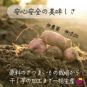 茨城県産 紅はるか 天日干しほしいも訳あり500g（NM-5）