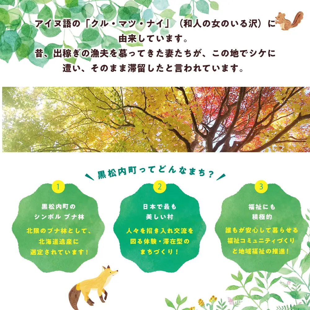 北海道 黒松内町☆応援寄付金☆【返礼品なし】10,000円分