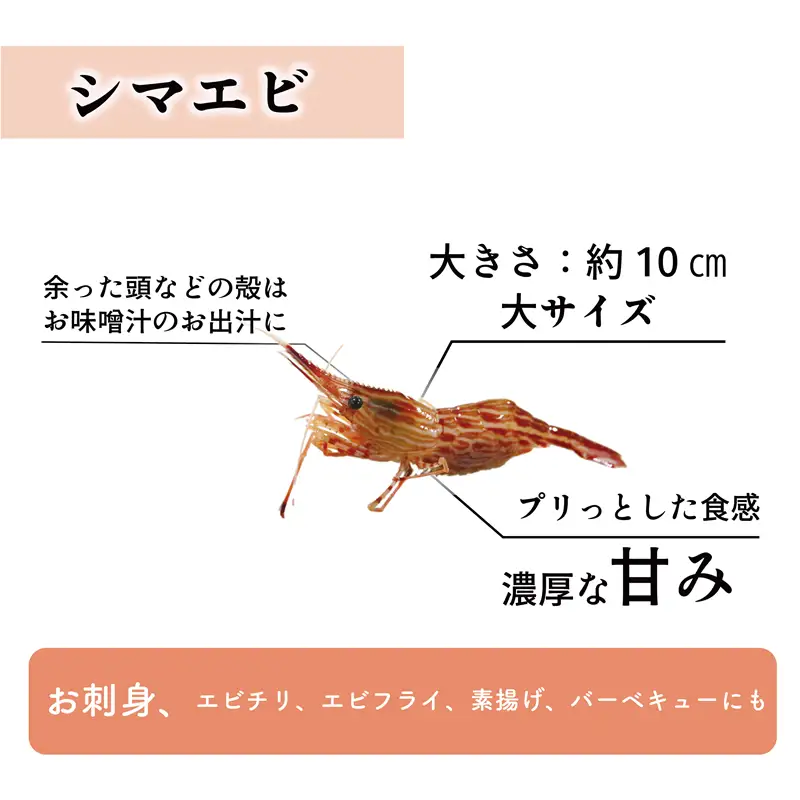 ＜ボタンエビ・シマエビ(冷凍) 1kg(各500g)＞北海道乙部町産 産地直送