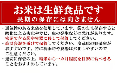 【令和7年産米】こしいぶき 白米 10kg（5kg×2袋） 新潟米 [Y0613]