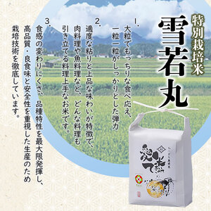 【令和8年産先行予約】特別栽培米 雪若丸　精米 10kg（5kg×2袋）　山形県鶴岡市産　愛米て　| 米 こめ コメ 10キロ ゆきわかまる ブランド米 庄内米 ごはん ご飯 美味しい 国産 おにぎり 農家直送 おすすめ 人気 お取り寄せ 返礼品