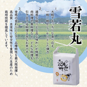 【令和8年産先行予約】【6ヶ月定期便】特別栽培米 雪若丸　精米 10kg(5kg×2袋) × 6ヶ月　山形県鶴岡市産　愛米て　| 米 こめ コメ 10キロ ゆきわかまる ブランド米 庄内米 ごはん ご飯 美味しい 国産 おにぎり 農家直送 おすすめ 人気 お取り寄せ 返礼品