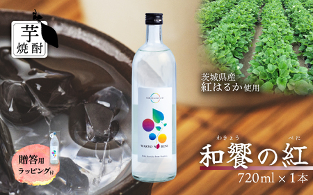 芋焼酎 和饗の紅 720ml 1本 芋焼酎 贈答用ラッピング付き 