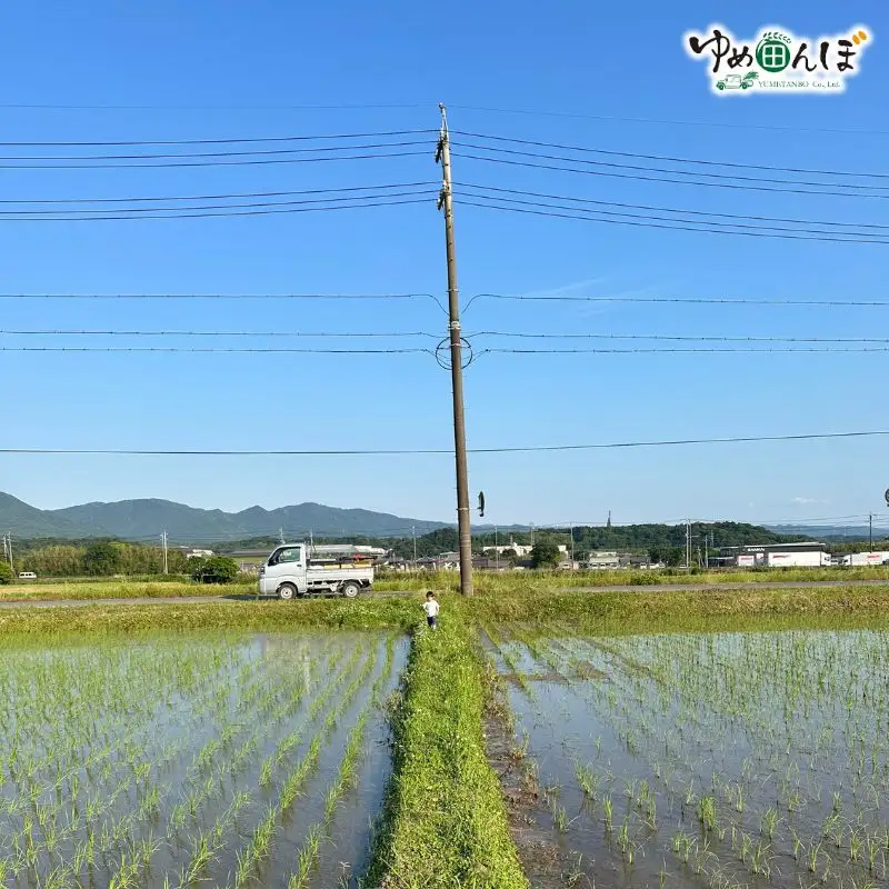 三重県産　伊賀米コシヒカリ　10kg　白米【ymtb0003】