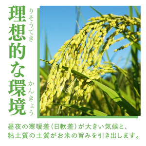 【無農薬米日本一コンテスト2年連続金賞】【谷田部農産】立神米 無農薬 こしひかり（白米）5kg｜茨城県 大子町 コシヒカリ 米 無農薬 コンテスト 受賞 生産者 大子産米 産地直送 令和7年産（BT081）