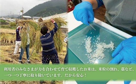 はっぴぃ米（ヒノヒカリ）山梨県 甲斐市 DD-1　