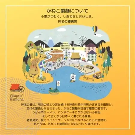 神奈川県中井町　老舗かねこ製麺　全粒粉うどんと白うどん食べ比べセット　計10束【1684659】