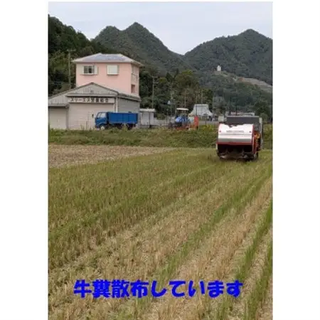 キヌヒカリ　令和8年産新米(玄米)【1719436】