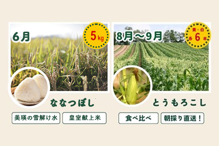旬の野菜セット 5回 定期便  新鮮な野菜 百合 美瑛の四季【令和8年産予約受付】 