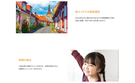 再生新品 同様 整備済み品業務用1300万画素デジタルカメラF3DCAF13-01-AYASE カメラ デジカメ 軽量 コンパクト 動画撮影 神奈川県 綾瀬市