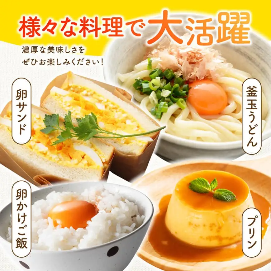 宮崎県産鶏卵　「南国からの贈り物」大きな卵40個入り（35個+破損補償5個）【たまご 卵 玉子 タマゴ】