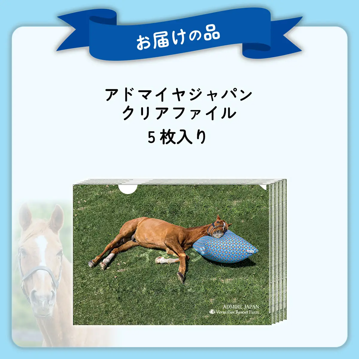 【アドマイヤジャパン×Yogibo】クリアファイル5枚入り BRTV046