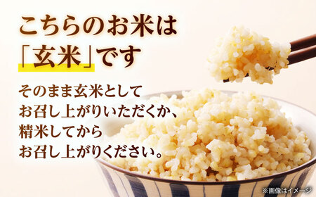 【先行予約】 令和8年度産 ヒノヒカリ 玄米 30kg 【奥村果実園】[ZFK011]