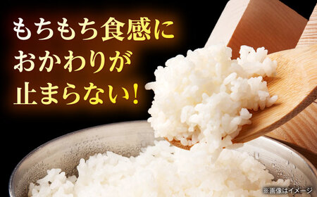 【先行予約】【6回定期便】山鹿市産 ヒノヒカリ 白米  10kg 【奥村果実園】[ZFK015]