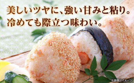 【先行予約】【6回定期便】くまさんの輝き 白米  5kg 山鹿市産 【奥村果実園】[ZFK020]