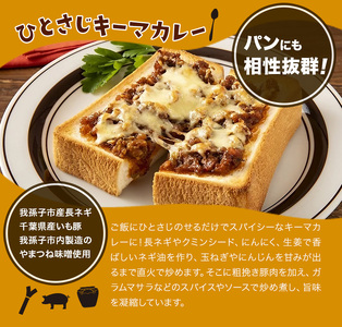 白樺派のひとさじキーマカレー 105g × 5本 株式会社風土食房《30日以内に出荷予定(土日祝除く)》千葉県 我孫子市 調味料選手権 味噌 豚肉 ごはん パン 麺 カレー スパイシー