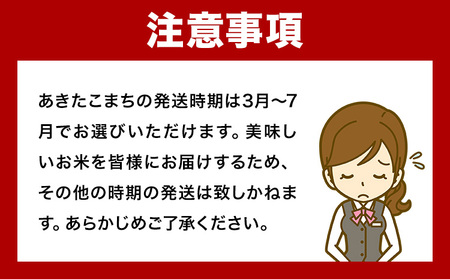 あきたこまち 10kg 米 あきたこまち