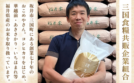 【令和7年産】坂井市産 特別栽培米 こしひかり 5kg 精米 コシヒカリ お米 こめ ご飯 人気 品種 ブランド米 数量限定 [A-6119]