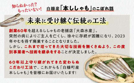【ふるなび限定】しらぬか産 本ししゃも 30尾 オスメス 各15尾 ししゃも シシャモ 子持ちししゃも 卵 魚卵 魚 魚介 国産 北海道 北海道産 ふるさと納税_A021-1026