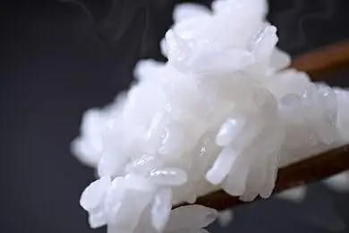 【令和7年産】【精米】自然農法/化学肥料不使用の南魚沼産こしひかり5kg　| こしひかり