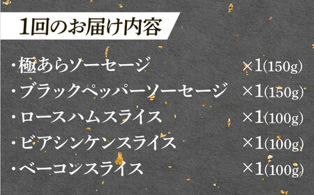 【12回定期便】 ハム・ソーセージ 瑞浪ボーノポーク お試し 5種セット 600g (冷凍) 瑞浪市 / きなぁた瑞浪 詰め合わせ ギフト[AZCI100]
