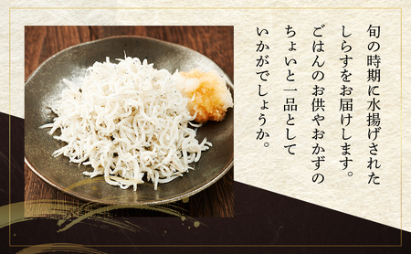 まいわしみりん干しとしらす干し いわし まいわし みりん干し 手開き 魚の旨み タレ パック詰め しらす セット ごはんのお供 おかず 九十九里町 千葉県