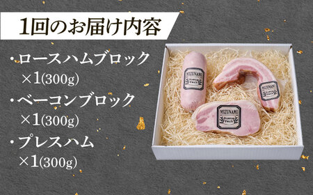 【3回定期便】 ハム・ベーコン ブロック 瑞浪ボーノポーク 工房長厳選！プレミアムセット 900g (冷凍) 瑞浪市 / きなぁた瑞浪 詰め合わせ ギフト[AZCI107]