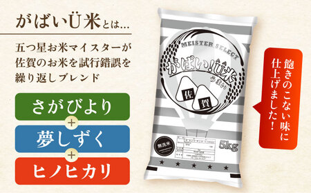 がばいU米（うまい）【無洗米】 10kg（5kg×2袋） 【大塚米穀店】[HBL117]