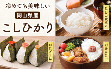岡山県産 こしひかり 10kg(5kg×2袋) 無洗米 全農パールライス株式会社《30日以内に出荷予定(土日祝除く)》 岡山県 浅口市 送料無料 こめ 無洗米 コシヒカリ
