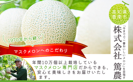 【２回定期便】マスクメロン（贈答用） 1玉入 青肉品種 高級メロン！ ／ マスクメロン 果物 フルーツ ギフト 農家直送 Wtn-0058
