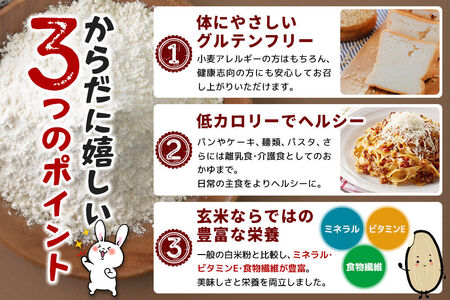 玄米からつくられた 米粉 秋田さらり玄米粉 1kg レターパックライト