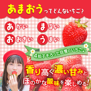 増永農園 訳あり冷凍あまおう 1kg 〔Fi081-02〕