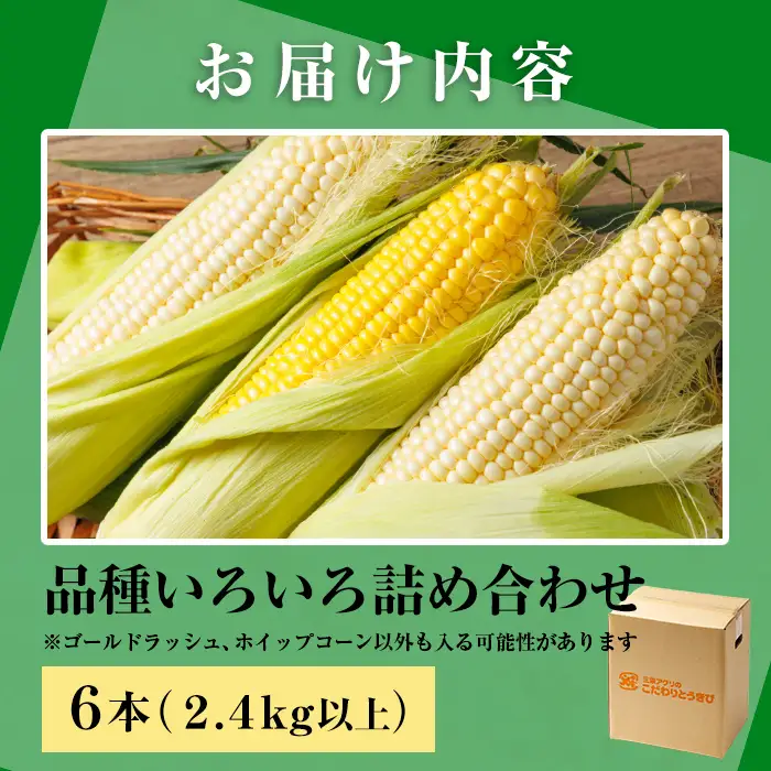 ＜期間限定＞天塩川源流スイートコーン 品種いろいろ詰め合わせ (6本) 【2026年8月下旬より順次発送】 北海道産 北海道 士別市 とうもろこし トウモロコシ とうきび コーン 野菜 産地直送 【三栄アグリ】【A7136】