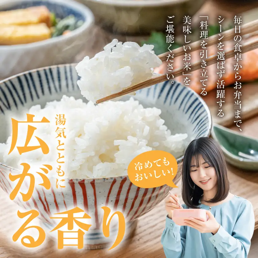 都城産ひのひかり10kg(5kg×2袋)〔21-N5-002-10kg〕_(都城市) 都城産 お米 10kg 5kg2袋 ひのひかりお弁当 おにぎり