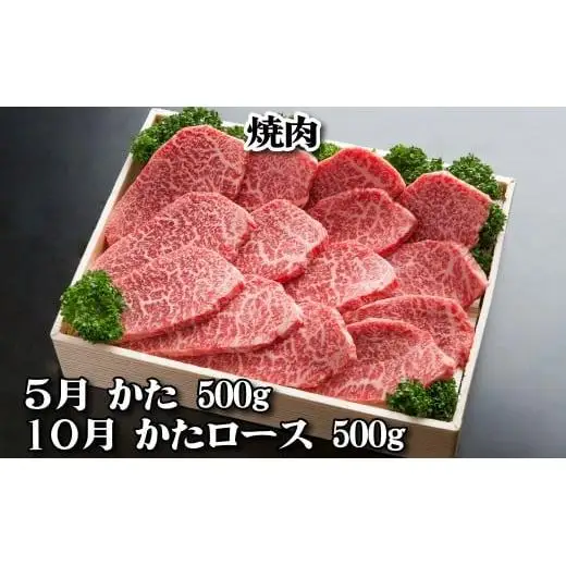 神戸牛 定期便「梅」コース 全６回 TK梅 [1219]