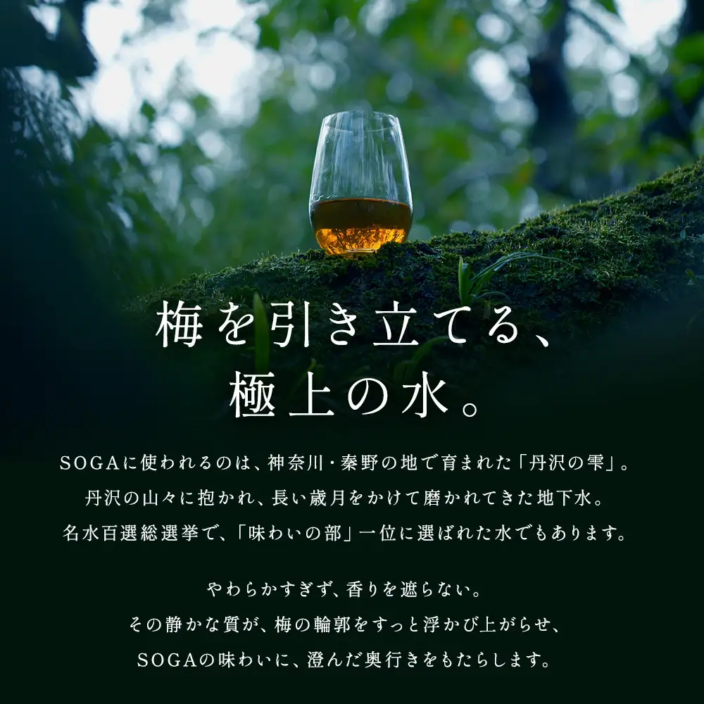 【小田原・曽我の最高傑作「十郎梅」使用梅酒】THE HEALING LIQUEUR SOGA