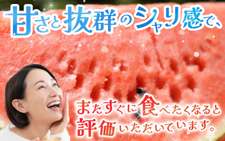 【先行予約】福井県産小玉スイカ ピノ・ガール農家直送 砂丘地栽培 約1kgサイズ 1玉【2026年7月中旬以降順次発送予定】 [A-21804]