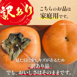 富有柿〈家庭用〉 約7.5kg（S～Lサイズ混載） |  先行予約 大人気 人気 富有 柿 かき フルーツ 果物 辰巳果樹園 ギフト おすすめ 10月 11月 発送 カキ 秋の味覚 旬 甘い 大容量 農家直送 産地直送 グルメ お取り寄せ 送料無料  食物繊維 豊富 美容 健康 | 奈良県 五條市